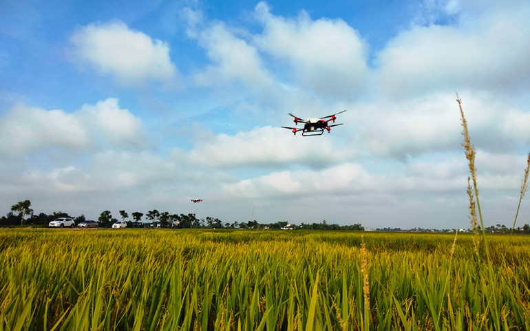 Cú huých trước Ngày hội lớn -0