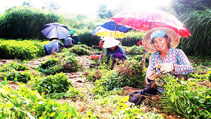 Du lịch ở làng “4 động 3 đèo” -0