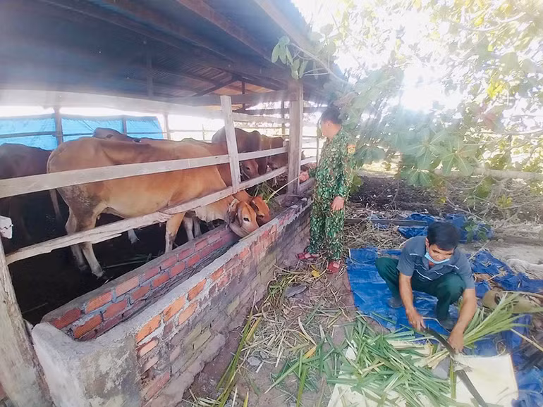 Vững vàng nơi biên cương -0