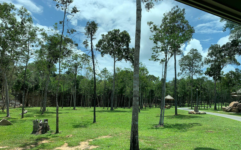 Trải nghiệm công viên động vật hoang dã Safari Phú Quốc -1