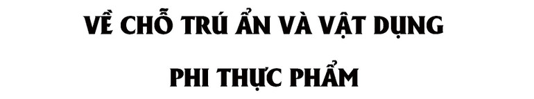 Những nhu cầu cấp thiết của người dân miền trung sau lũ -0