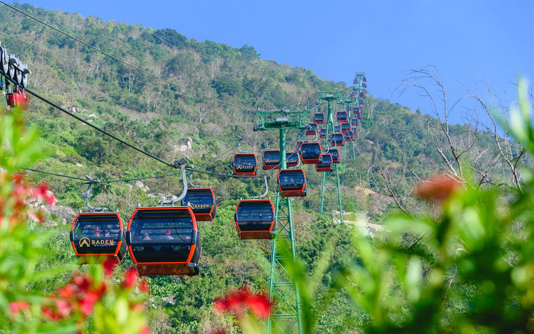 Rực rỡ sắc hoa tulip trên đỉnh núi Bà Đen -0