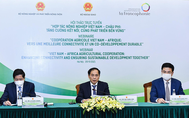 Việt Nam đóng góp có trách nhiệm vì hòa bình và an ninh toàn cầu -0