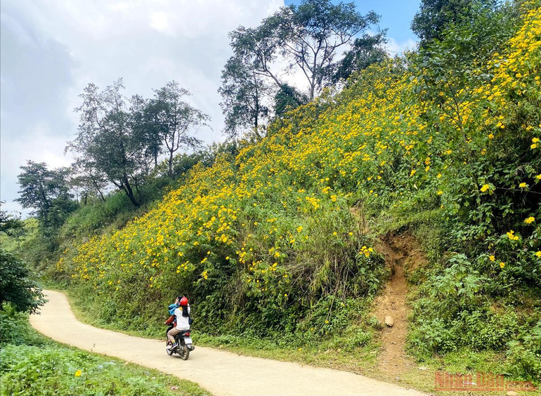 Sin Suối Hồ - Ngàn mặt trời rực rỡ -1