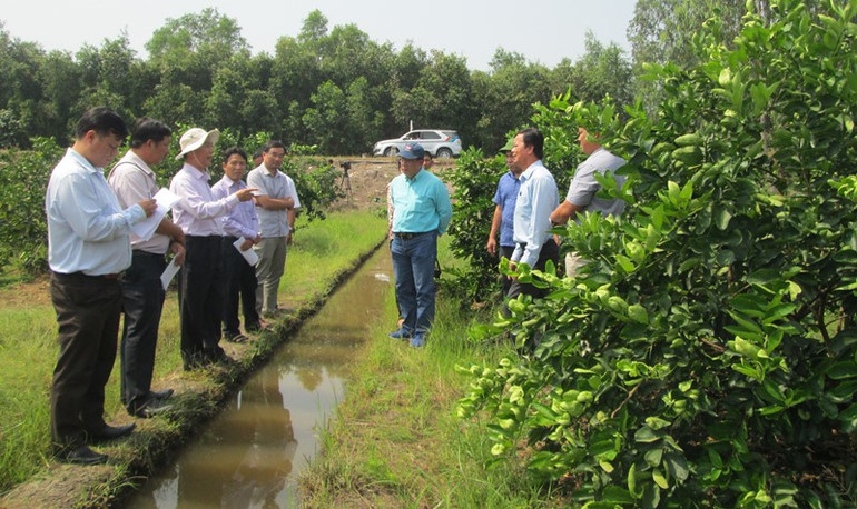 Tăng cường ứng phó xâm nhập mặn ngay Tết Nguyên đán Tân Sửu -0