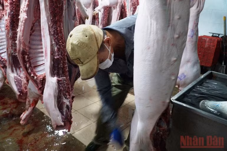 Phạt gần 183 triệu đồng công ty xả nước thải vượt quy chuẩn 3 lần -0