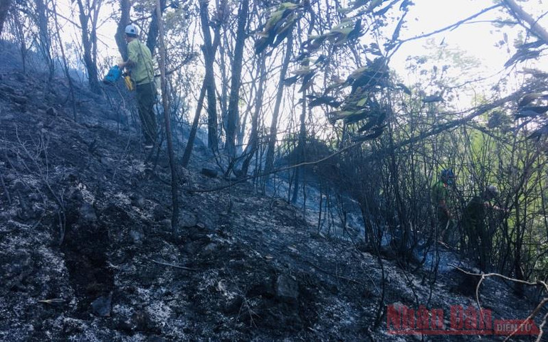 Bình Định: Khống chế kịp thời đám cháy trên núi Bà Hỏa -0