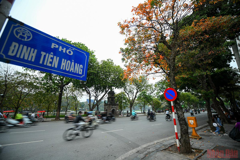 Hà Nội đẹp nao lòng mùa lá rụng tháng 3 -0