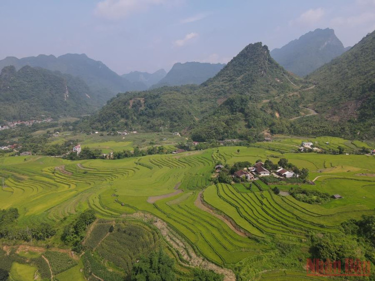 Cánh đồng Quảng Khê nằm giáp với hồ Ba Bể. Khơi dậy bền vững tiềm năng du lịch hồ Ba Bể -0