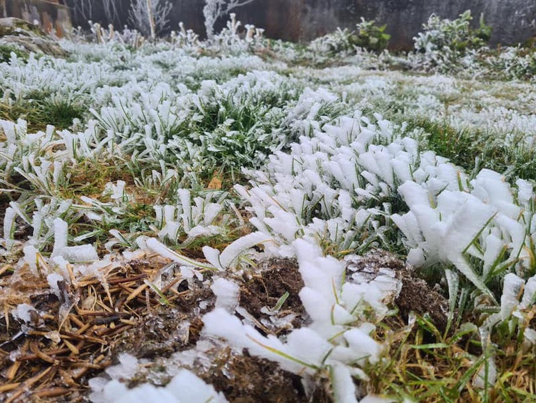 Băng giá phủ trắng xóa đỉnh Phja Oắc -0