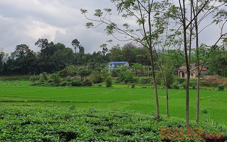 Ký ức Hợp Thành -0