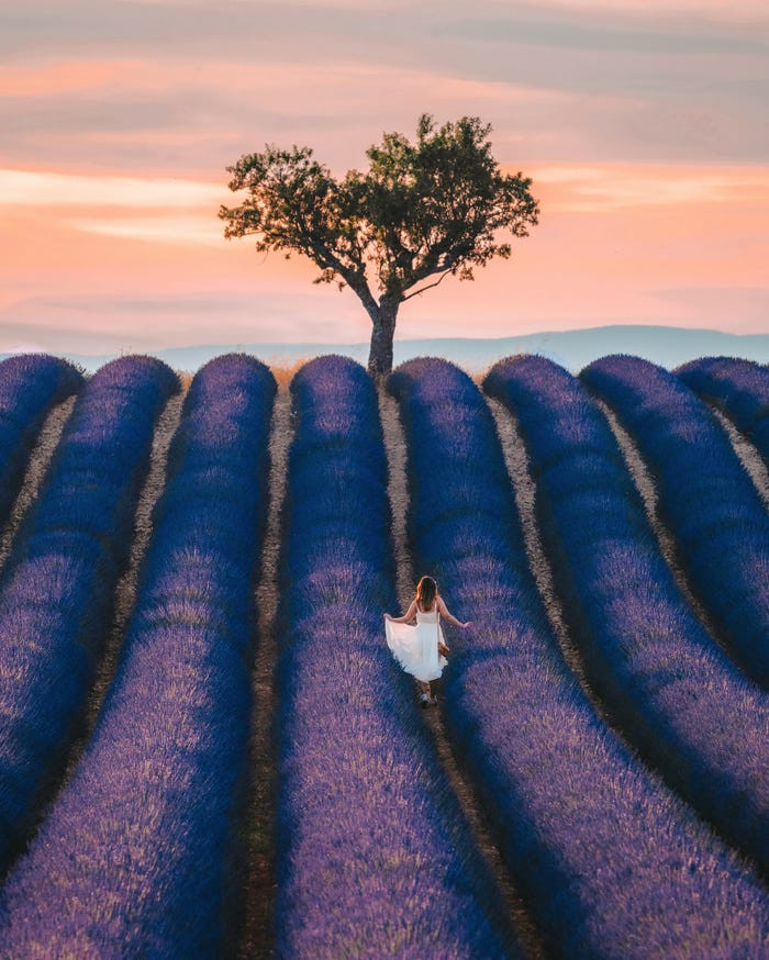 Những bức ảnh phong cảnh đẹp nhất năm 2020 -0