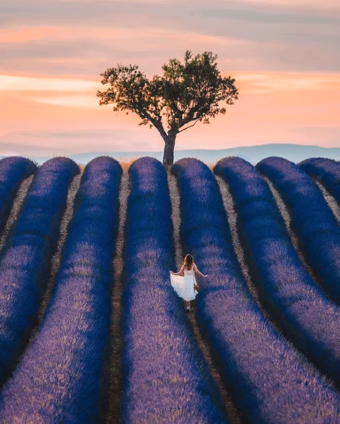 Những bức ảnh phong cảnh đẹp nhất năm 2020 -0