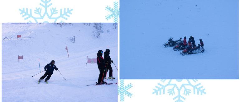 Những ngày ở Bắc Cực -0