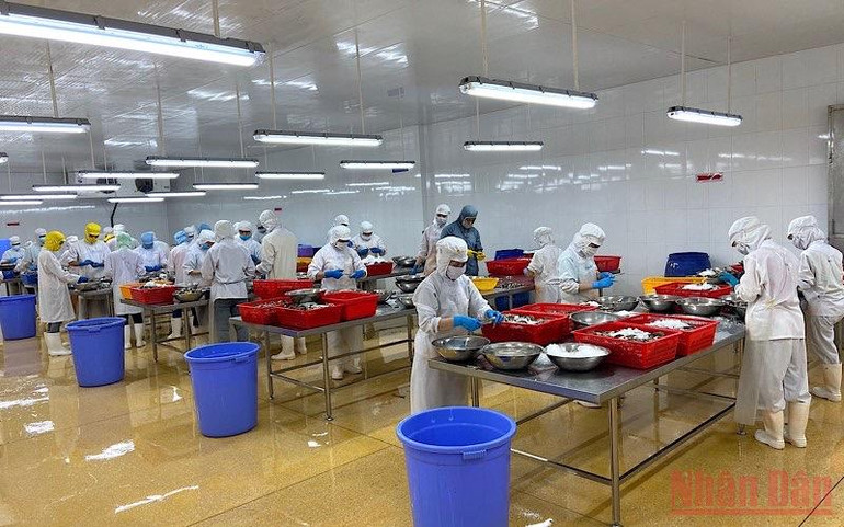 Cà Mau quyết tâm đẩy lùi dịch bệnh -0