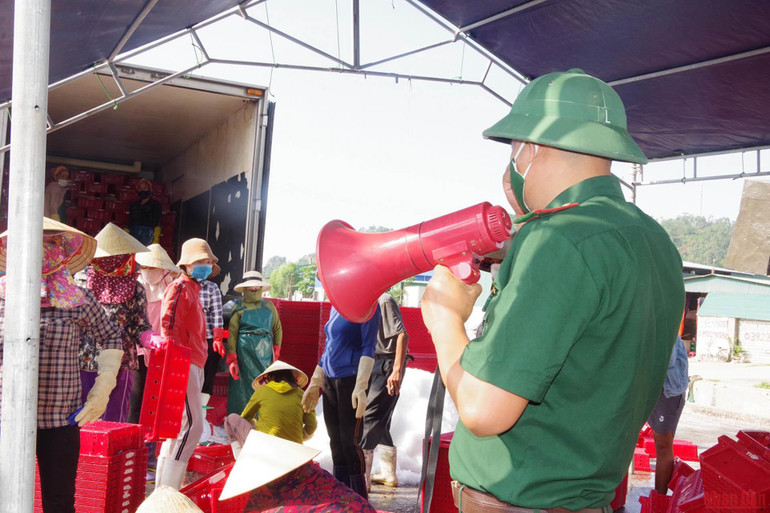 Không để dịch bệnh lây lan từ biên giới biển -0
