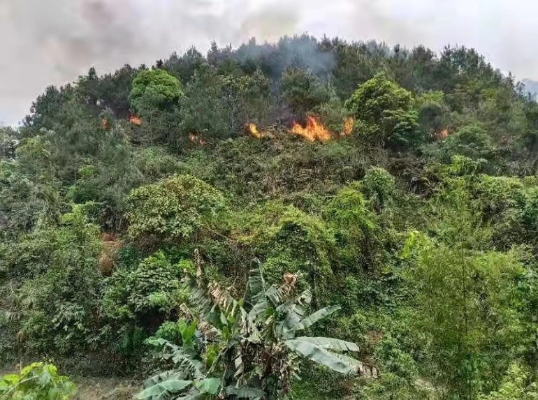 Rơi máy bay chở 132 hành khách ở Trung Quốc, không có dấu hiệu của người sống sót -0