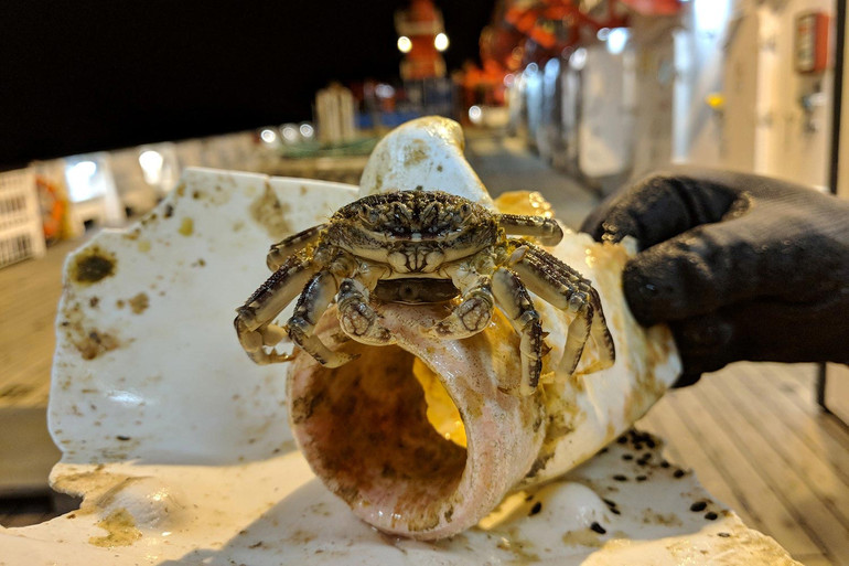 Ô nhiễm nhựa toàn cầu sắp đến giới hạn không thể phục hồi -0