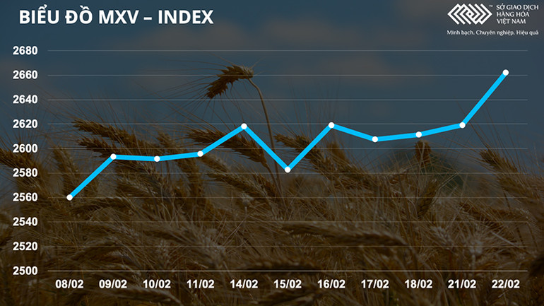 Giá trị giao dịch của nhóm nông sản tăng đột biến -0