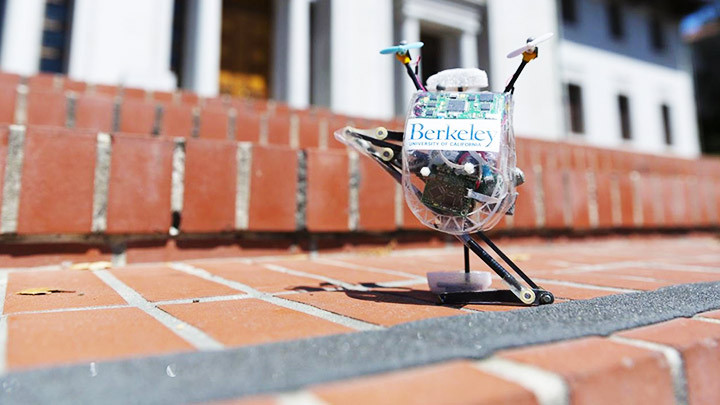 Cấy ghép tai in 3D -0