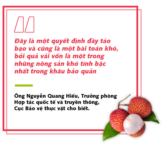 Ấn tượng câu chuyện vải thiều sang Nhật Bản -0