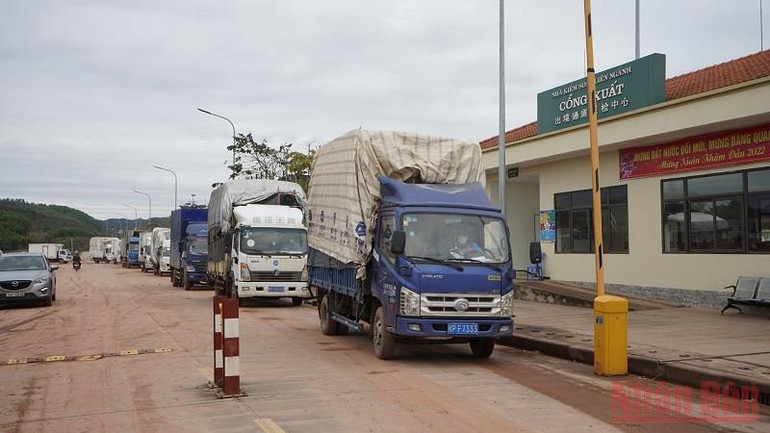 Xuất khẩu 140 tấn thủy sản qua Lối mở Km3+4 Hải Yên, Móng Cái -0