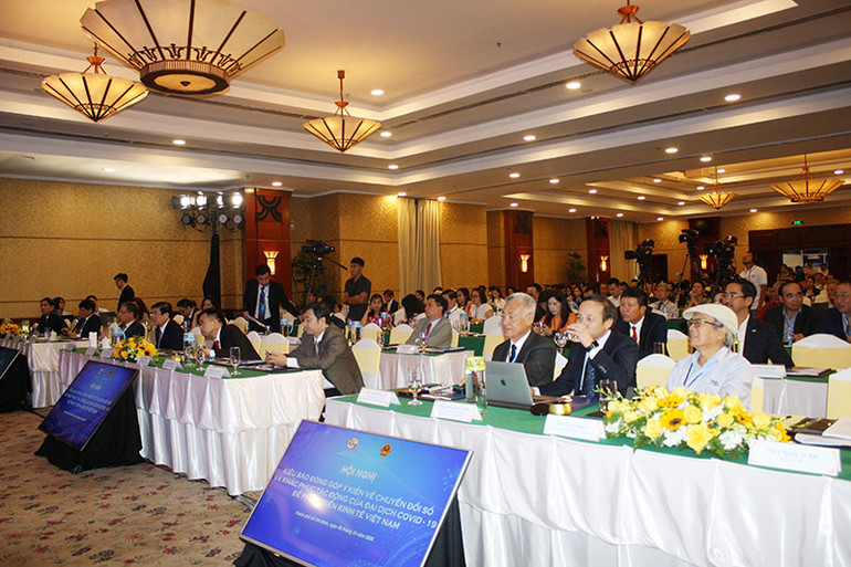 Kiều bào đóng góp ý kiến về chuyển đổi số và khắc phục tác động dịch Covid-19 -0