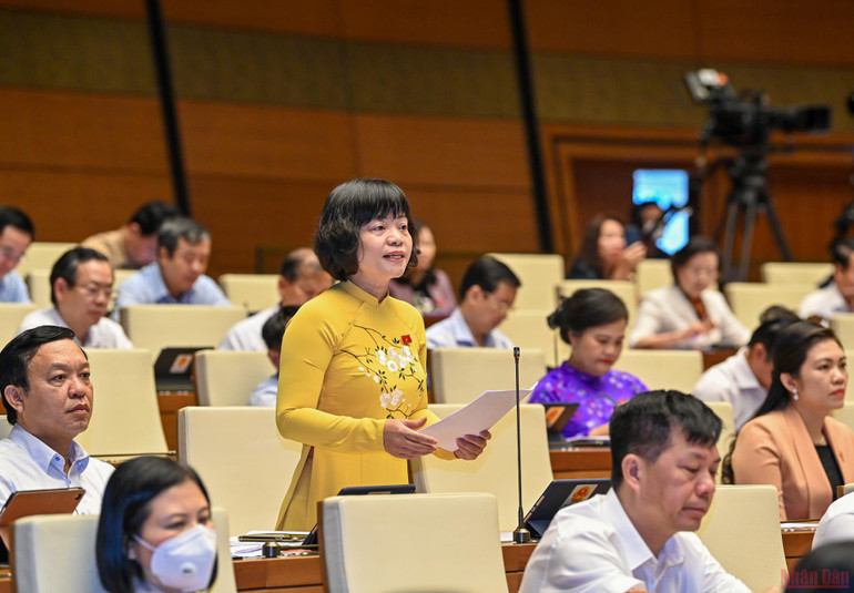 Sửa đổi luật để nâng cao chất lượng dịch vụ y tế cho người dân -0