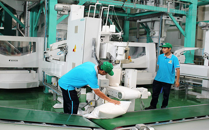 Đẩy mạnh xuất khẩu hàng nông sản chủ lực -0