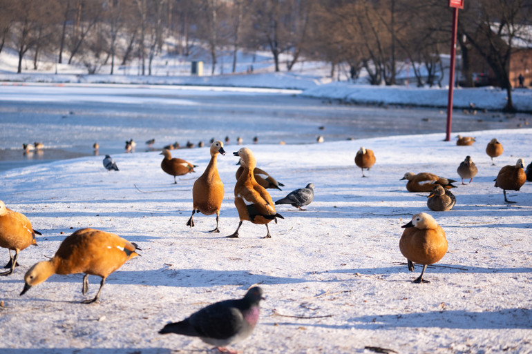 Năm tháng tác nghiệp ở LB Nga -0