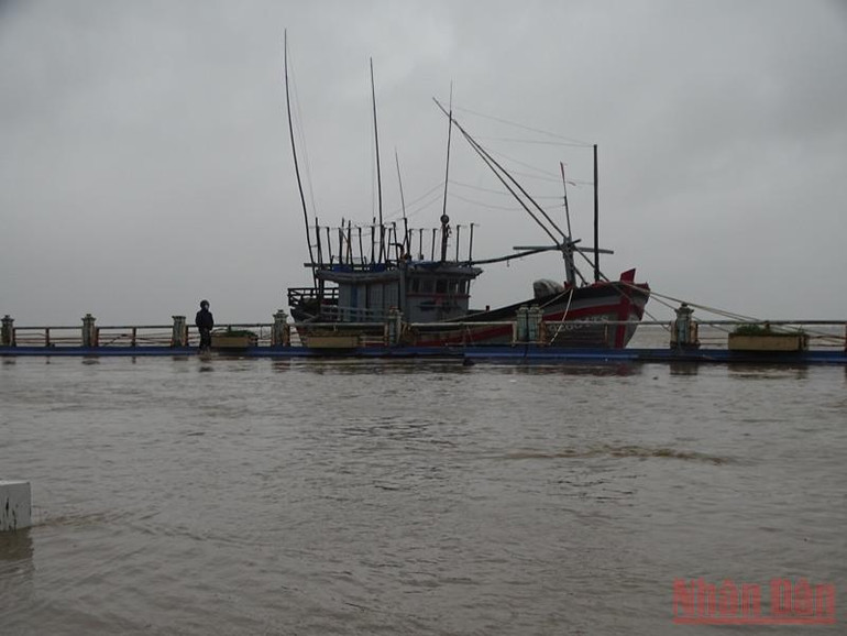 Thủy điện xả lũ, thành phố Tuy Hòa chạy lũ xuyên đêm -0