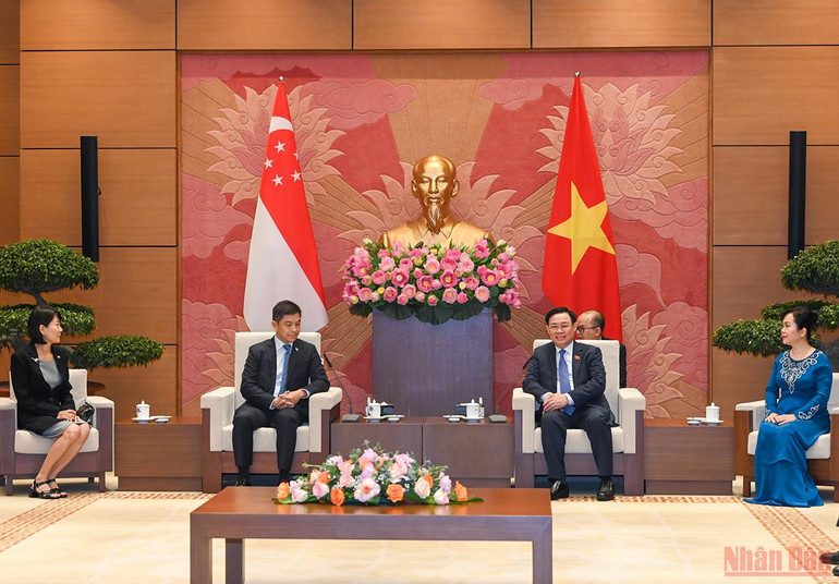 Chủ tịch Quốc hội Vương Đình Huệ đón, hội đàm với Chủ tịch Quốc hội Singapore Tan Chuan-Jin -3