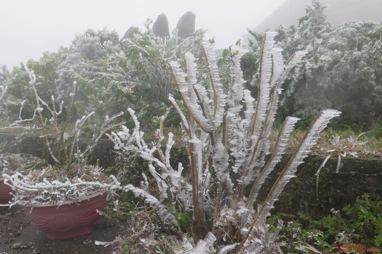 Mẫu Sơn nhiệt độ giảm âm 3,4 độ C -0