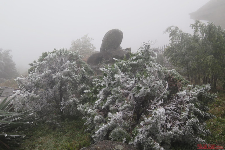 Mẫu Sơn nhiệt độ giảm âm 3,4 độ C -0