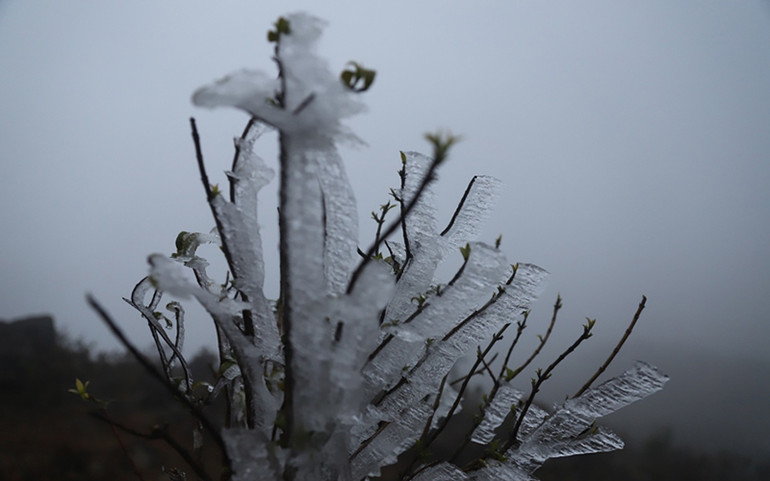 Bình Liêu xuất hiện băng giá -0