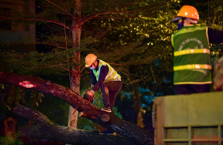 Hà Nội: Công nhân xuyên đêm đánh chuyển cây xanh để mở rộng đường Hoàng Quốc Việt -0
