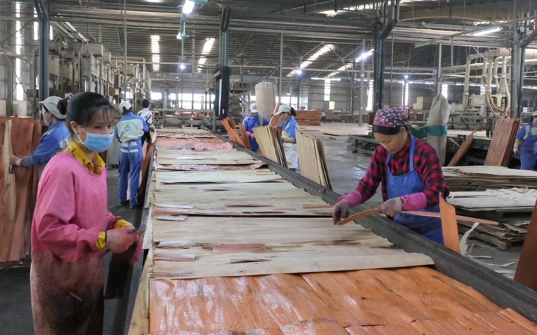 Các khu công nghiệp ở Hà Giang thu hút lực lượng lớn lao động nông thôn đã qua đào tạo. a3-1639447966907.jpg