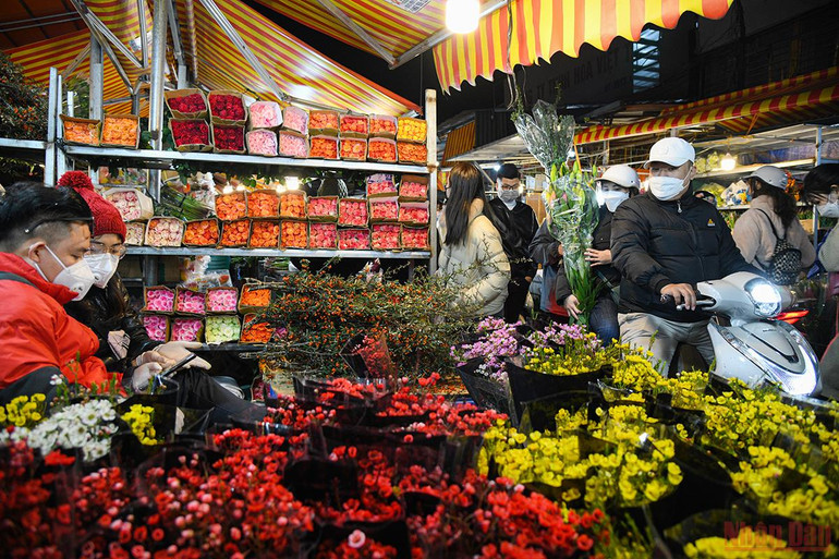 Tấp nập không khí người dân chen chân đi chợ hoa đêm lớn nhất Hà Nội ngày cận Tết -0