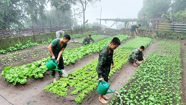Hòn đảo thức trông đất liền -0