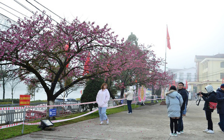 Sa Pa đón gần 60 nghìn lượt du khách trong kỳ nghỉ đầu năm mới 2021 -0