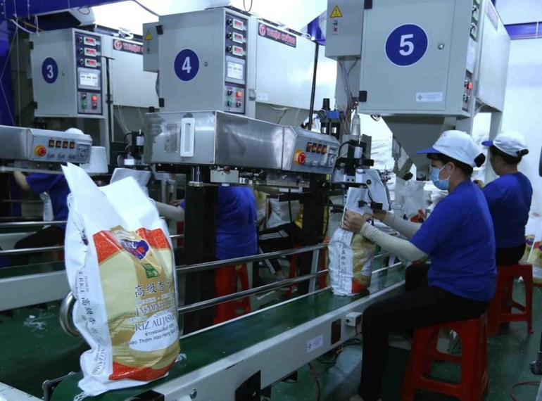 Nhanh chóng tháo gỡ khó khăn cho doanh nghiệp xuất khẩu gạo -0