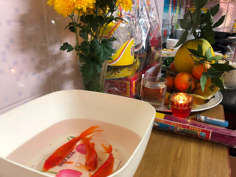 Người dân Hà Nội thả cá chép tiễn ông Táo về trời -0