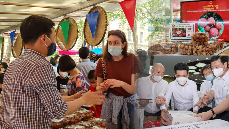 Kỳ tích của trái vải nhỏ -0