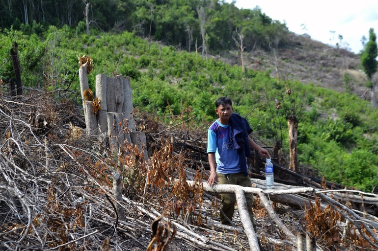 Khẩn trương ngăn chặn nạn phá rừng ở xã vùng cao Phú Yên -1