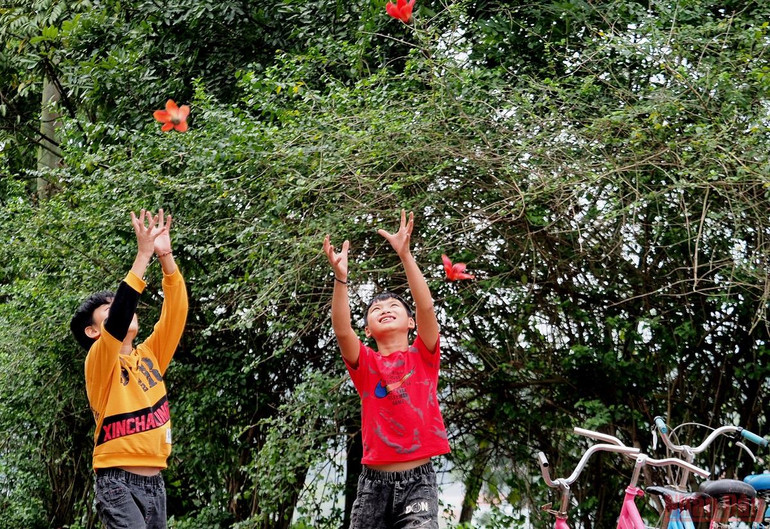 Rực đỏ mùa hoa gạo bên sông Lam -0