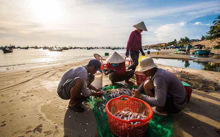 Chợ cá buổi sớm trên biển Mũi Né (Ảnh: VietnamTourism) Mũi Né nằm trong danh sách 10 bãi biển tốt nhất thế giới -0