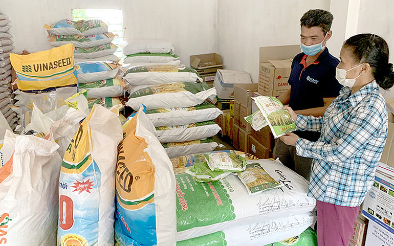 Tập trung bình ổn giá vật tư nông nghiệp -0