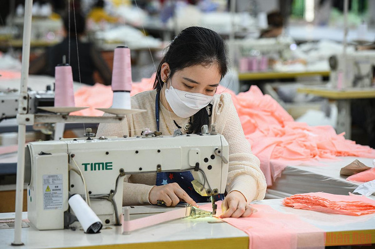 Các doanh nghiệp trong nước nỗ lực vượt khó, tăng đà phục hồi -0