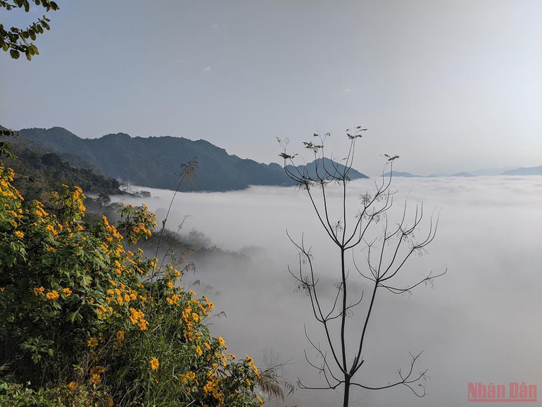 Săn mây trên đèo Tằng Quái -0