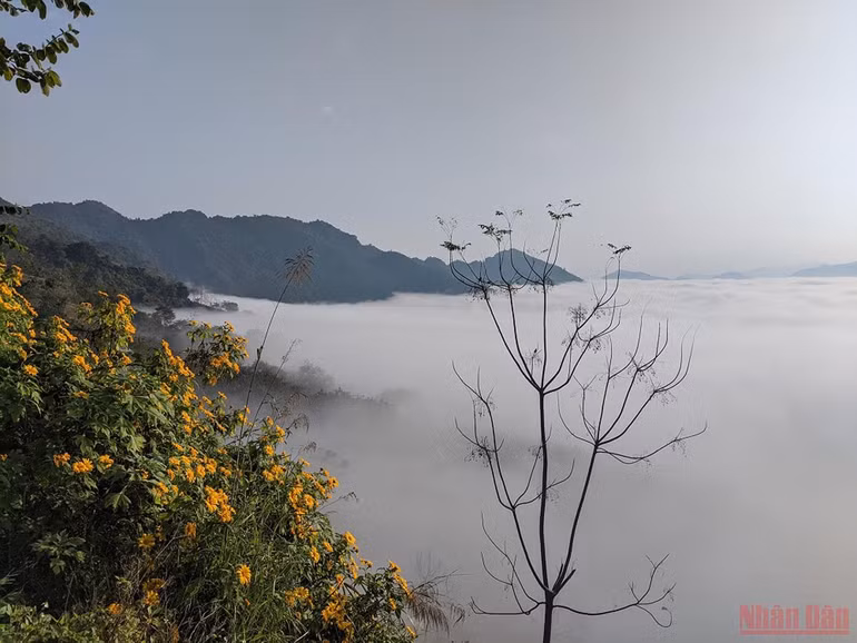 Săn mây trên đèo Tằng Quái -0